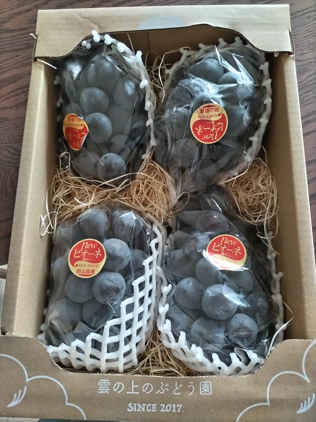 岡山県産ピオーネ2kg（3〜4房・種なし） ｜ 果物/ぶどう 産直アウル