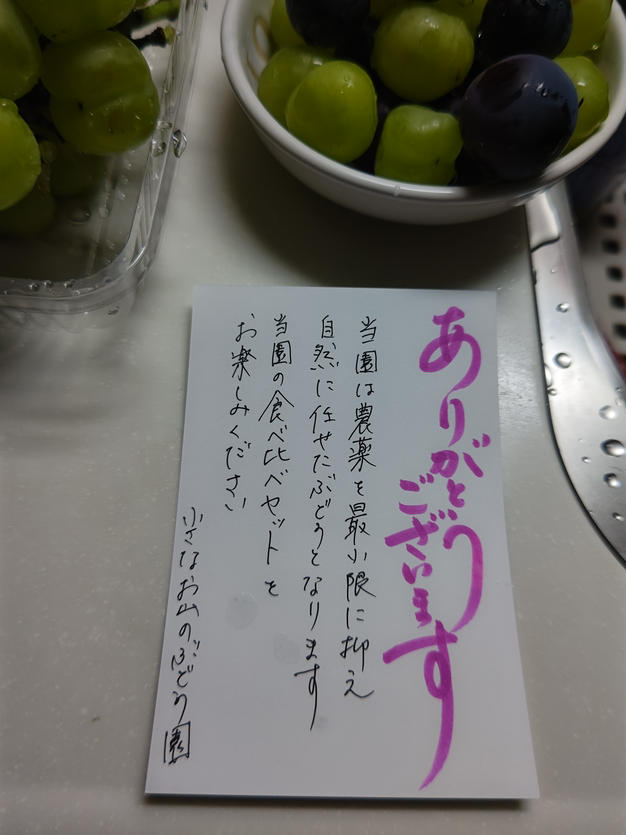 岡山県産オーロラブラック2kg（3~5房） ｜ 果物/ぶどう 産直アウル