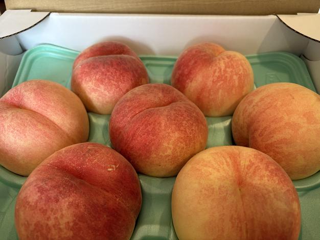 桃 川中島白桃 大玉 3kg 前後6～10個) 8月下旬より出荷 ｜ 果物/もも