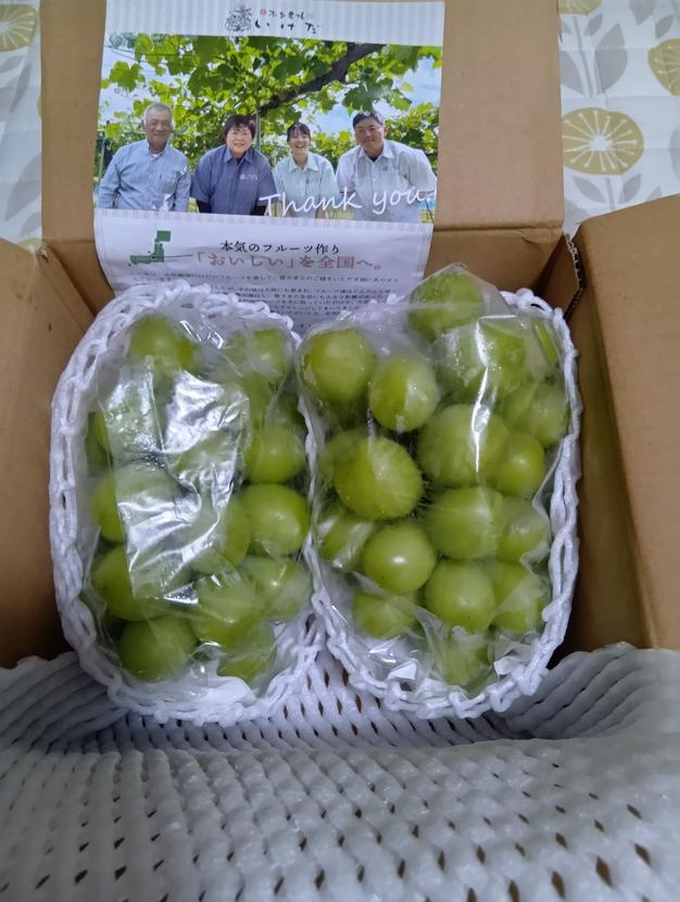 家庭用】早生ワッサー2.4kg（10～13玉）／本気農場いけだ ｜ 果物/もも