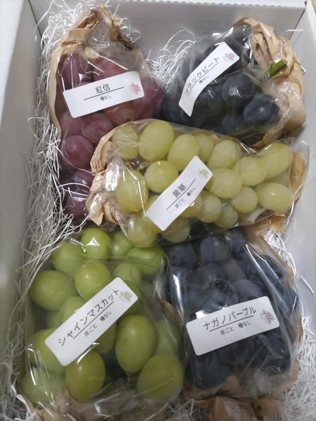 贈答用】園主オススメ 希少品種入り4房詰合せ 約2kg ｜ 果物/ぶどう