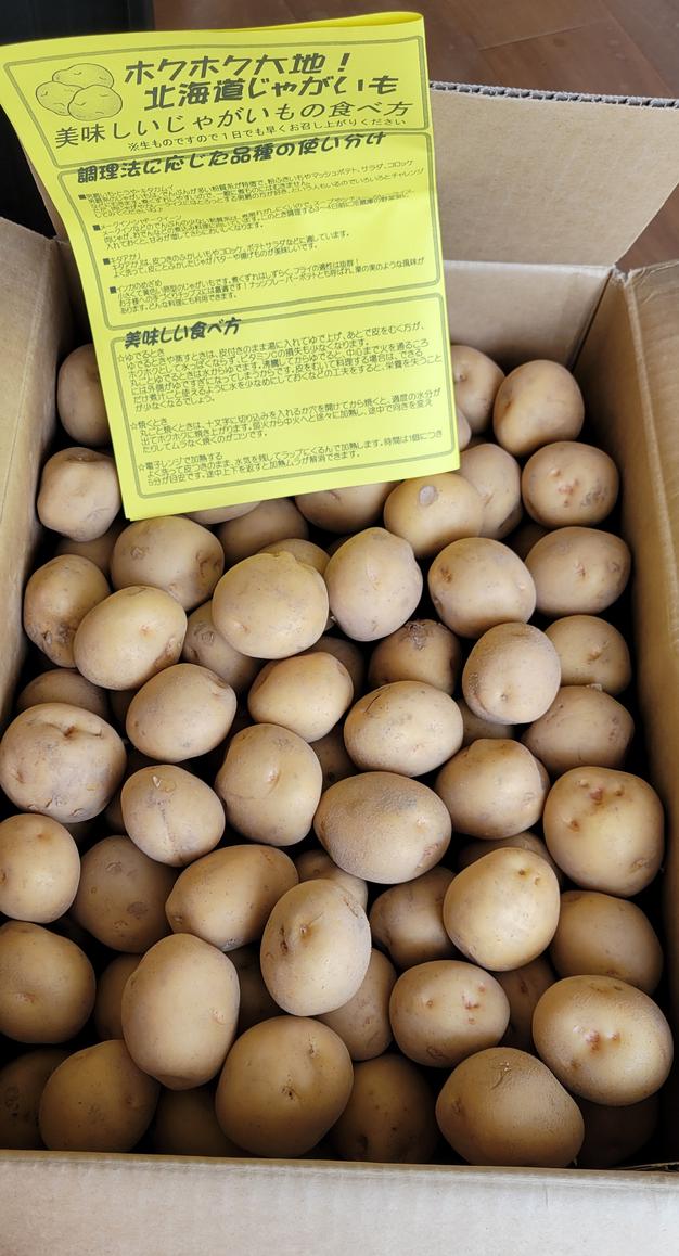 きたあかり Sサイズ 10kg 北海道産 ｜ 野菜/じゃがいも 産直アウル