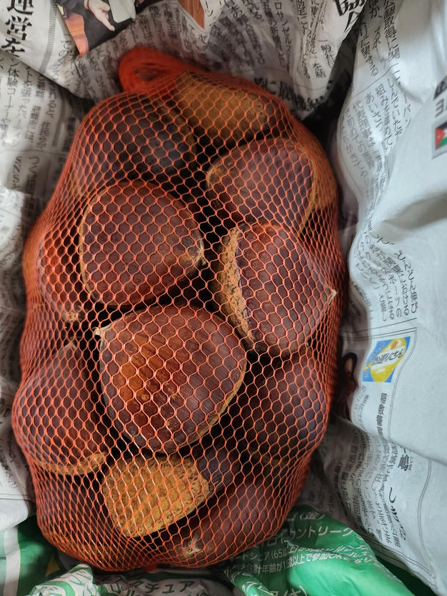 茨城のうまい栗（ぽろたん） 2Lサイズ（約1kg） ｜ 果物/栗 産直アウル