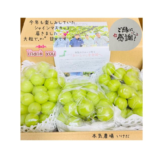家庭用】早生ワッサー2.4kg（10～13玉）／本気農場いけだ ｜ 果物/もも