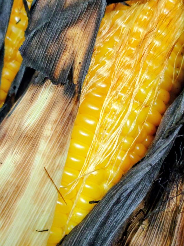 とうもろこし🌽とかぼちゃ🎃のセット ｜ 野菜/野菜セット・詰め合わせ