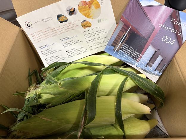 ◉2箱 【硬桃】「おどろき」家庭用5kg ｜ 果物/もも 産直アウル 農家