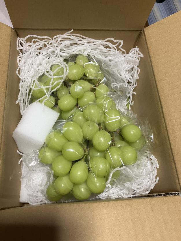クール便】桃『品種おまかせ』最後まで硬め2kg ｜ 果物/もも 産直