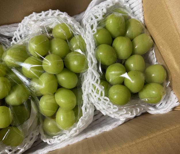 家庭用】早生ワッサー2.4kg（10～13玉）／本気農場いけだ ｜ 果物/もも