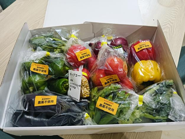送料無料】北海道より直送天然ウド1kg ｜ 野菜/山菜 産直アウル 農家