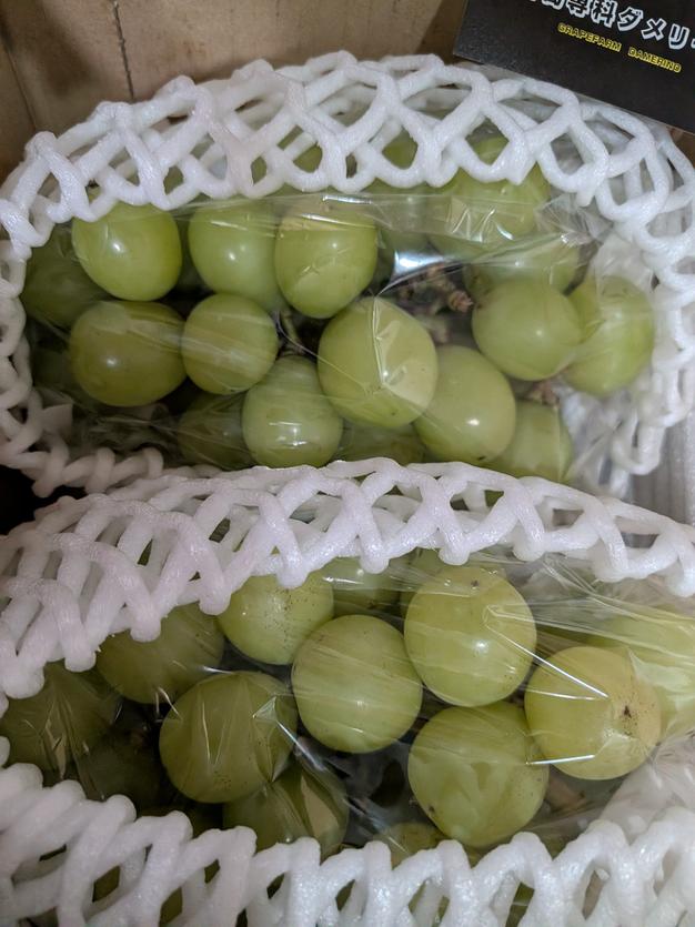超大房🍇850g以上！超特大シャインマスカット ｜ 果物/ぶどう 産直