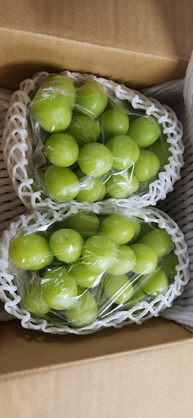 家庭用】早生ワッサー2.4kg（10～13玉）／本気農場いけだ ｜ 果物/もも