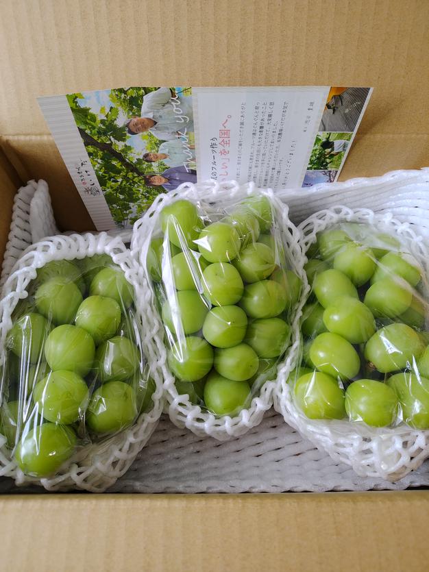 家庭用】早生ワッサー2.4kg（10～13玉）／本気農場いけだ ｜ 果物/もも