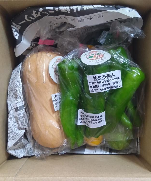 濃甘！野菜セット5種類 農薬・化学肥料不使用：個包装 ｜ 野菜/野菜