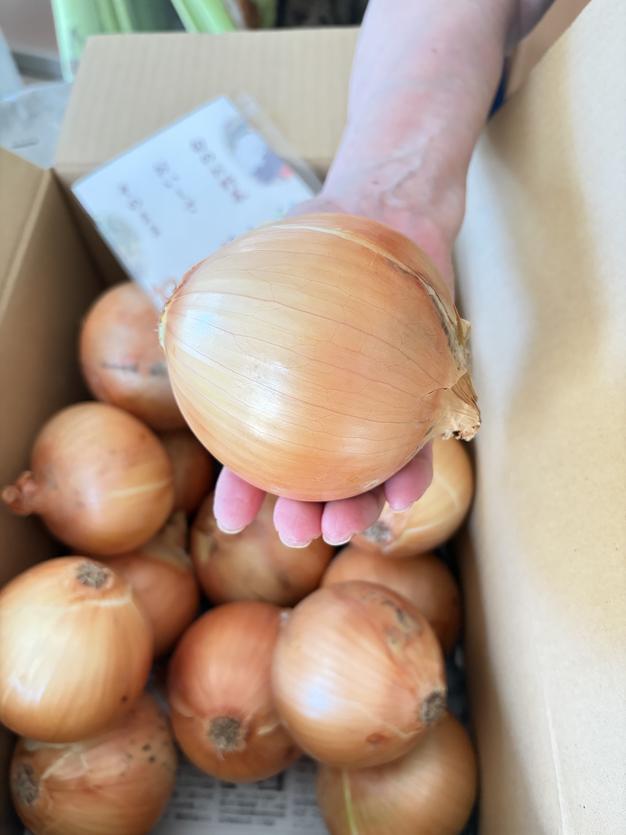 令和8年度淡路島産コシヒカリ20kg ｜ 米・穀物/米/精米 産直アウル