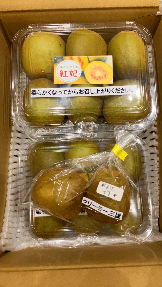 訳あり)高級プラム貴陽 ｜ 果物/すもも・プラム 産直アウル 農家・漁師