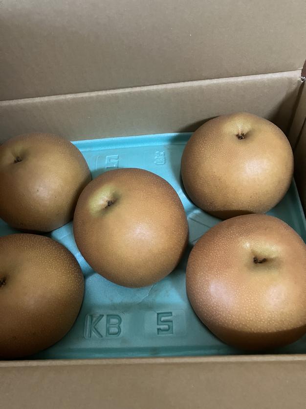 梨 幸水10kg ｜ 果物/梨 産直アウル 農家・漁師など生産者から直接野菜