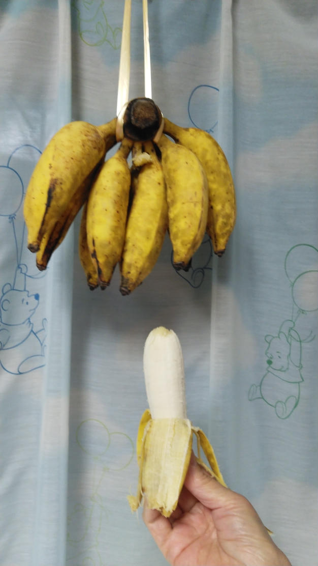 ナムアバナナ 房　10kg 安心・安全！ナムワバナナ 10kg：沖縄県産のその他バナナ｜食べ