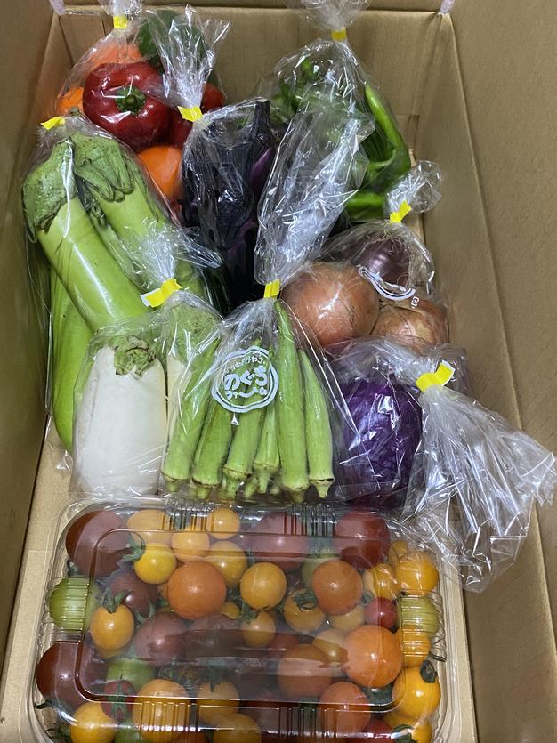 どどーんと！ミニトマト1キロとお野菜6種のぐちふぁーむ安曇野 | 野菜