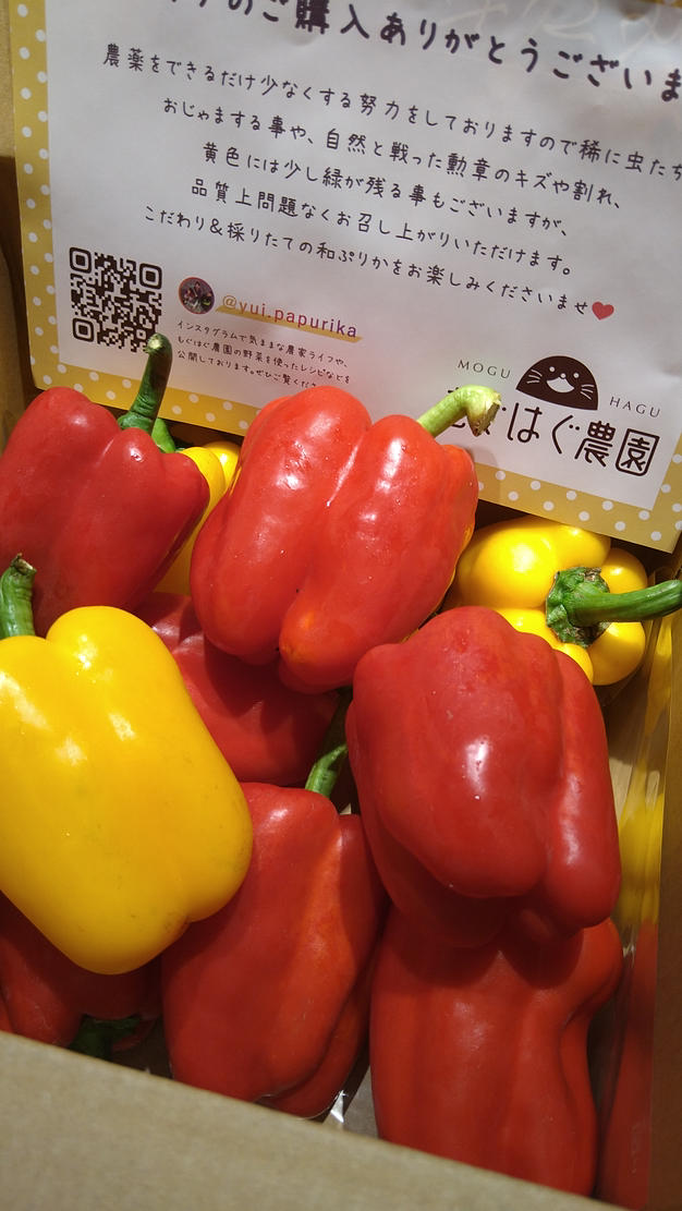 アルママさんが もぐはぐ農園 の 完熟パプリカ「和ぷりか」1kg(小ぶり 