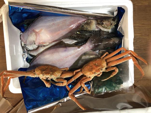 その日漁に出て取れた海鮮box 魚介類 セット 詰め合わせ 産直アウル 農家から直接野菜などの食材を購入できる産地直送の宅配通販サイト その日漁に出て取れた海鮮box 魚介類 セット 詰め合わせ 産直アウル 農家から直接野菜などの食材を購入できる産地直送の宅配通販サイト
