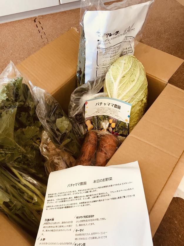 農園自慢の情熱野菜セット☆訳あり☆発送タイミングおまかせ