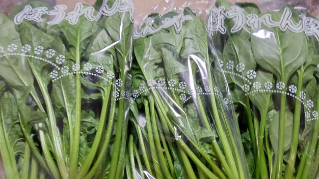 最高級品質 高栄養価ほうれん草 『野の花』 ｜ 野菜/ほうれん草 産直