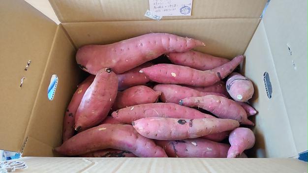 こももさんが くさか農園 の 茨城県行方市特産 さつまいも べにはるか 訳あり サイズミックス についてのごちレポ リピート購入 を投稿しました 産直アウル Owl
