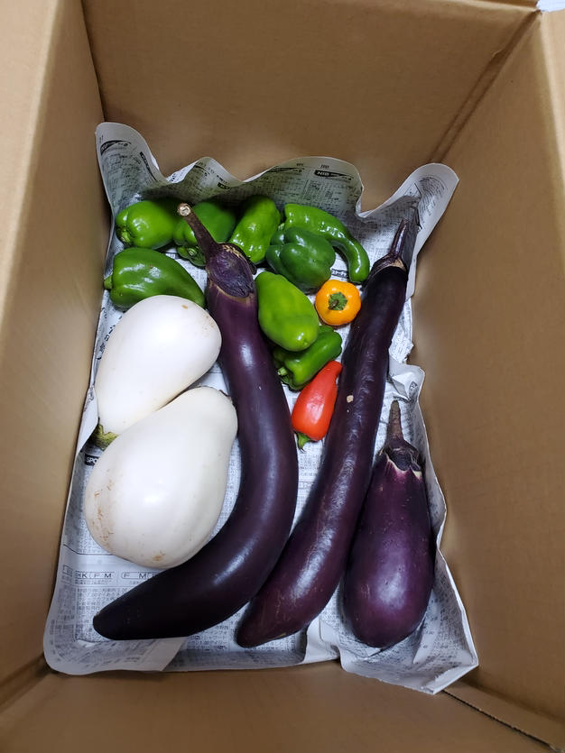 国内外の人気 夏野菜500円分セット【ミヤハラ農園】 | 野菜/野菜セット 絵画