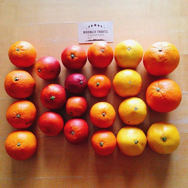 ☆みかんページ☆ img_76237_06.jpg