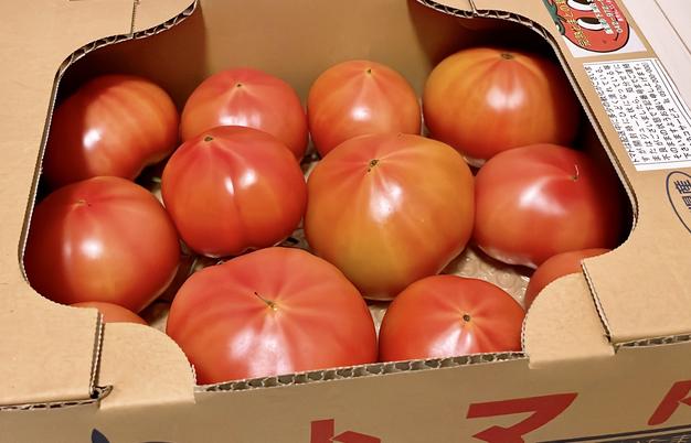 新井園のヘタ青トマト約4Kg | 野菜/トマト 産直アウル 農家から