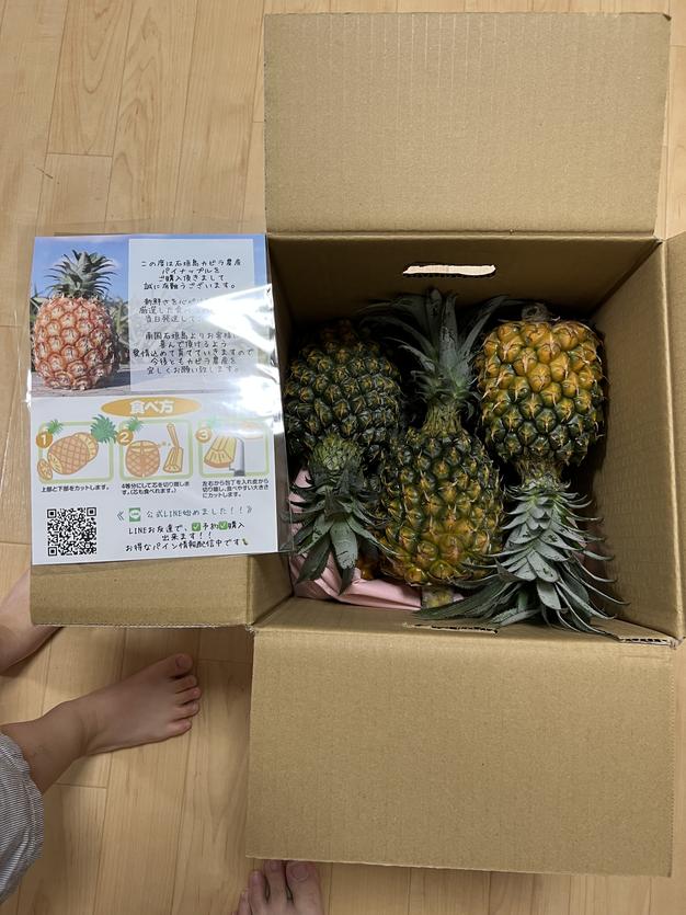 1日5名限定】糖度20度越え！ 中玉スナックパイン お得詰め合わせセット