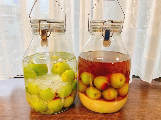 紀州みなべの南高梅「青梅」（大粒3L・4L）約2kg [限定数] ｜ 果物