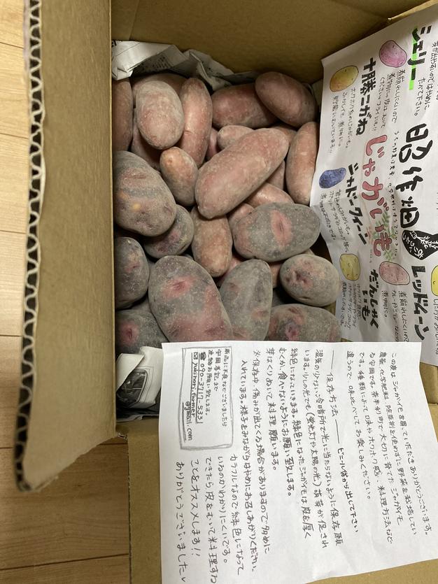 ご注文で当日配送 信越自然郷の行者ニンニクヤマト発泡箱大サイズ2kg超 中に保冷剤鮮度処理後発送 www.anavara.com ご注文で当日配送 信越自然郷の行者ニンニクヤマト発泡箱大サイズ2kg超 中に保冷剤鮮度処理後発送 www.anavara.com