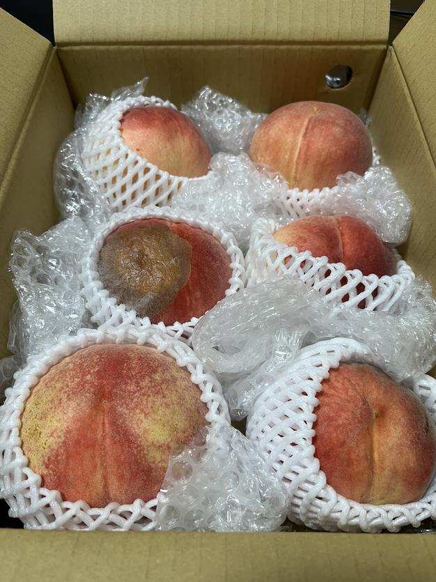 rruRi 山梨県南アルプス産桃　5kg箱✕2箱　　 　農家直販 rruRi様専用 山梨県南アルプス産桃 5kg箱✕2箱 農家直販（◎予約