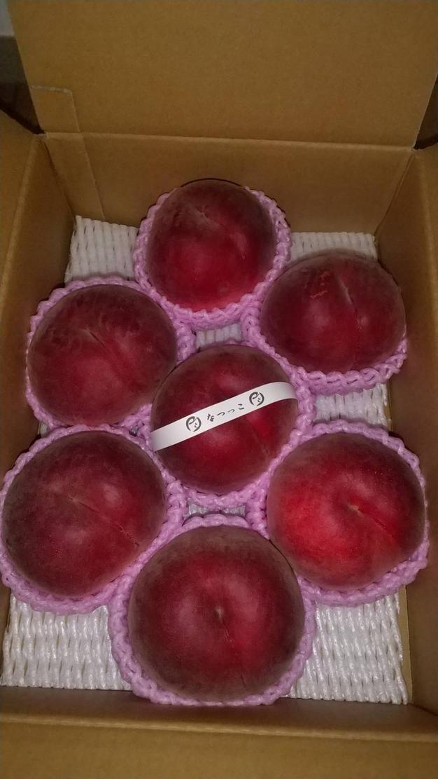 お贈物にも!ご家庭でも!!〉なつっこ 約3kg(7~12玉) ｜ 果物/もも 産直