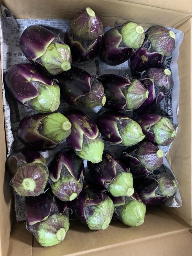 ブランド茄子【りんごあめ】絹皮水茄子20個 | 野菜/茄子 産直アウル