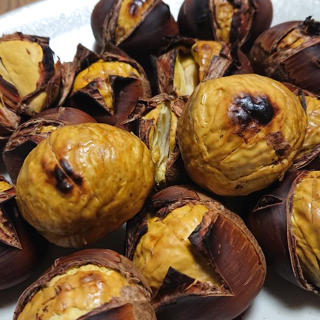 栗 ぽろたん Mサイズ 1．5kg（500g×3パック） 焼栗・栗ご飯が