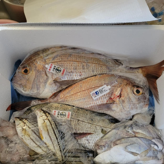 まずはお試しで】鮮魚ボックス1.５キロ以上 | 魚介類/セット・詰め合わせ 産直アウル 農家から直接野菜などの食材を購入できる産地直送の宅配通販サイト
