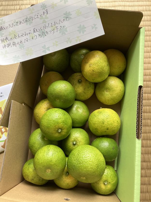 宮崎県産 へべす 3キロ 楽天市場】宮崎 へべすの通販
