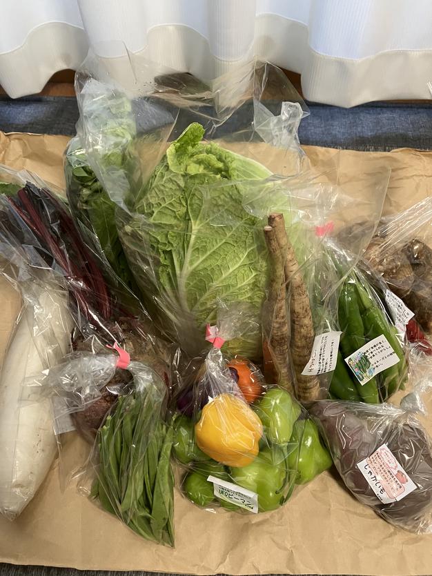 新じゃが】とうや | 野菜/じゃがいも 産直アウル 農家から直接野菜など