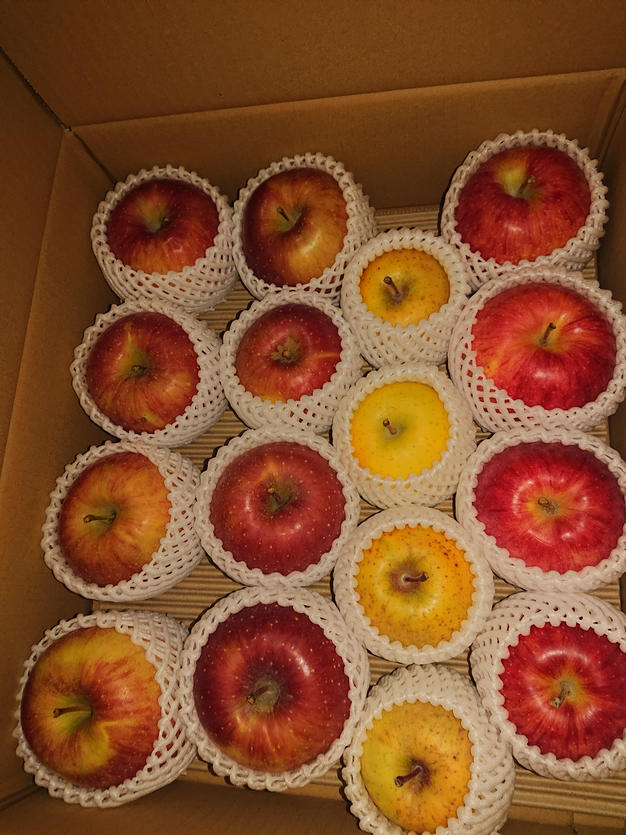 3周年限定】葉取らず栽培のサンふじ🍎＆幻の蜜入りんご🍏ともう1種