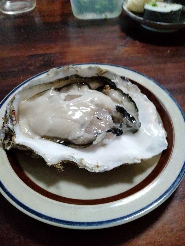 【休業日はプロフ参照】生牡蠣「生食用 殻付き 牡蠣 ８ｋｇ」生食用（56~140粒）牡蠣 殻付き 牡蛎 牡蠣 殻付 牡蠣 宮城県産 カキ 魚介類 魚介 ＢＢＱ 楽天市場】牡蠣 殻付き 生牡蠣 生食用「生食用 殻付き 牡蠣