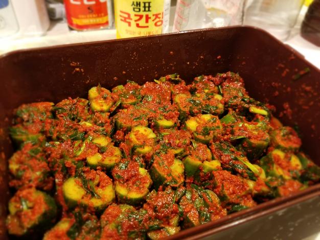 訳あり きゅうりB品 規格外 無選別 朝採り野菜 ｜ 野菜/きゅうり 産直