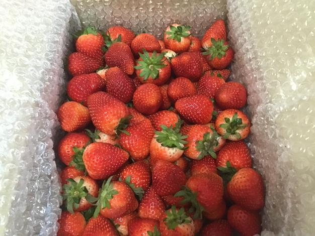 いちご⭐︎即購入大歓迎♪値下げあり♪ 奈良県産 いちご(古都姫) 270g以上(6〜8粒) 2パック1箱【お届け