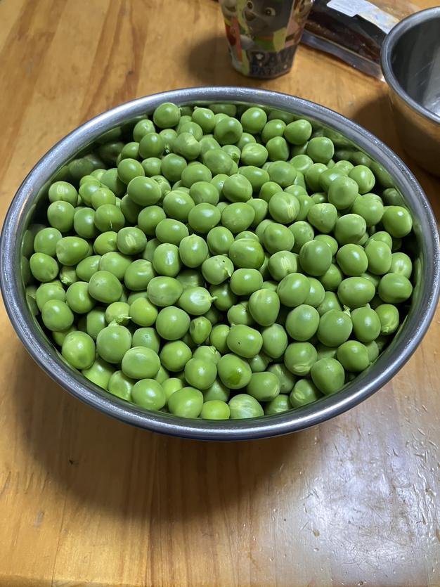 グリーンピース　鞘付き　5kg グリーンピース鞘付き5kg