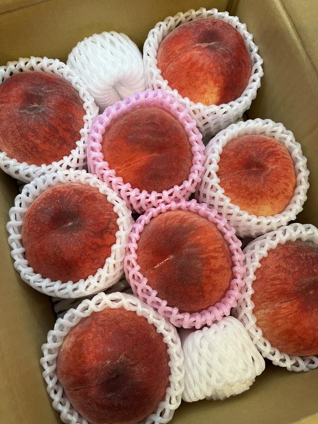 6月下旬～7月中旬】桃 2kg ｜ 果物/もも 産直アウル 農家・漁師など
