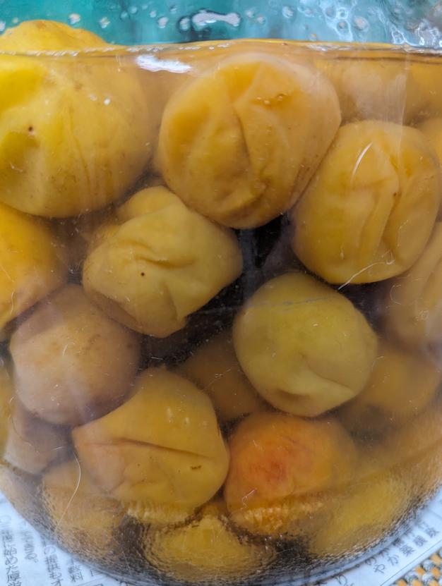 在庫あるだけ！ 和歌山産『完熟南高梅』(サイズ混合 箱込約5kg