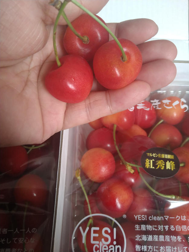 【訳あり大特価!!】色薄紅秀峰3kg Lサイズ以上 青森県産 果樹園直送紅秀峰！ 関農園］紅秀峰3Lサイズ 1kgバラ詰: フルーツ(果物)・野菜