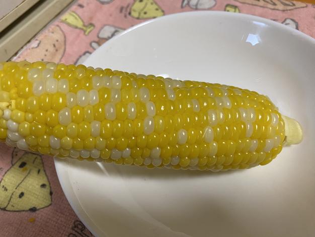 ピヨ様　京都山城産　朝掘り筍4kg 関東クール便 京都府山城産 朝掘りたけのこ／4kg | 西井米穀店 やましろもん