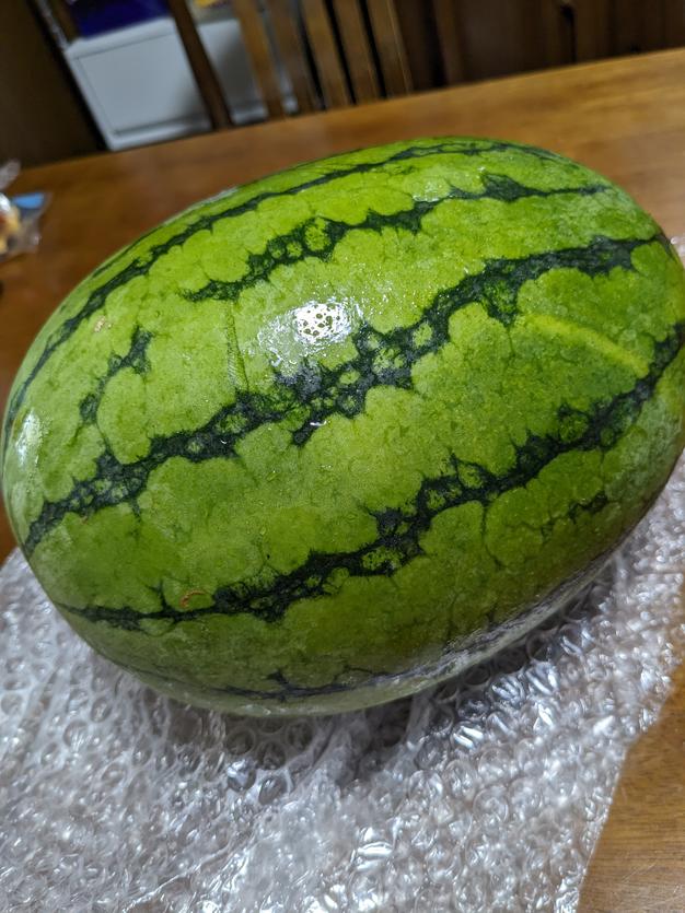 訳あり】種から育てた無農薬無化学肥料栽培 小玉スイカ 2.4